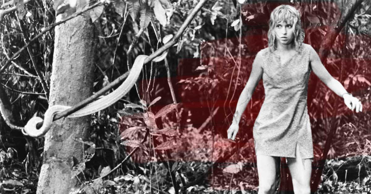 Juliane Koepcke — The Amazing Story Of Surviving a Plane Crash And