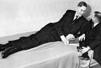 robert wadlow