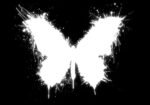 What Is the Butterfly Effect, and How Does It Work? Here are Few Examples of the Butterfly Effect That Will Astound You.