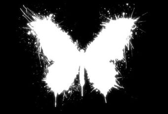 What Is the Butterfly Effect, and How Does It Work? Here are Few Examples of the Butterfly Effect That Will Astound You.